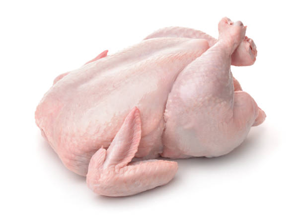 Chicken image